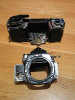 IMG_7738 small.jpg