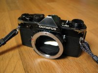 IMG_7740 small.jpg
