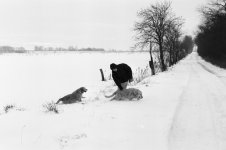 20100102-26a_Lionel_und_die_Bestien_im_Schnee_LQ.jpg