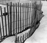 sand_fence.jpg