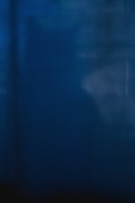 Impression of cat.jpg