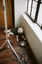 Blog 2797.jpg