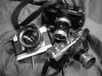 Nikon RF Month Saturday 17 2007.jpg