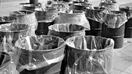 waitin' on the trash.jpg