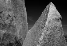 L1005010.jpg