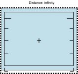 Mam43-infin.jpg