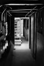 lily_street-2.jpg
