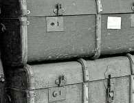 luggage-trolley-crop-centre.jpg