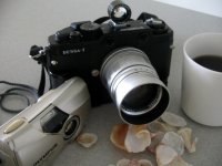 shells_n_coffee.JPG