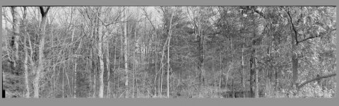 f16 vignette correction.jpg