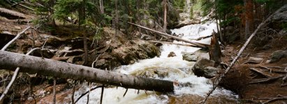 Rocky-Mountain-National-Park-Stream-and-Logs-78100019.jpg