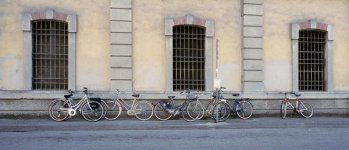 10-12 Bicycles.jpg
