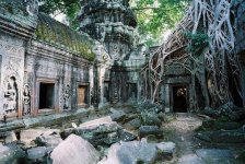 Ta Prohm RFF.jpg