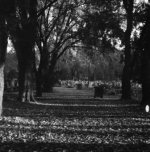 cemetery.jpg
