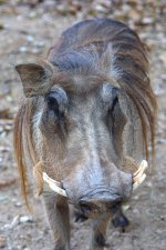 IMG_0724.jpg