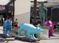 Wildlfe Arles (c) Roger Hicks 2013.jpg