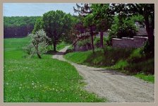 8310_E01_hf2_1.jpg