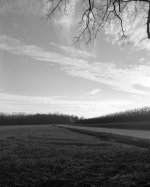 img007-2.jpg