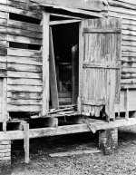 WMT Door 1-1.jpg