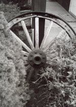 wagon wheel I.jpg