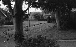 img079.jpg