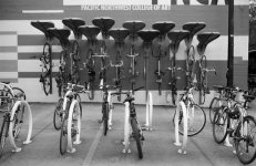 Bike Art Small.jpg