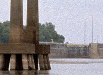 Grain.jpg