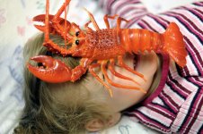lobster-face-DSC_2854.jpg
