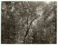 Woods Ektar 22.jpg