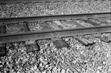 Tracks.jpg