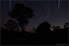 Talooge Startrails 2012-05-12.jpg