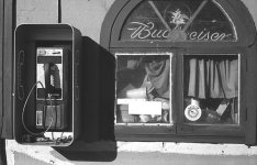 35_FormerAcornPub0810.jpg