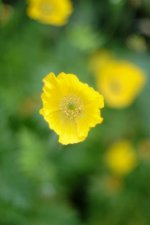DSCF1781.jpg