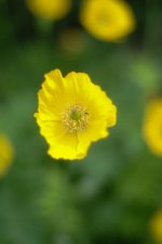 DSCF1816.jpg