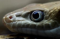 486_8662_RT8.jpg