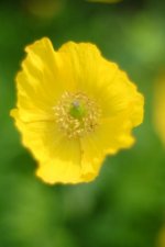 DSCF1792.jpg