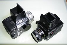 _IGP1848.jpg