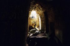 Ta Prohm RFF 3.jpg
