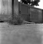 img835.jpg