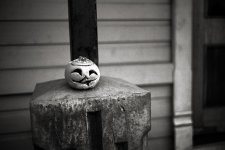 lilpunkin.jpg