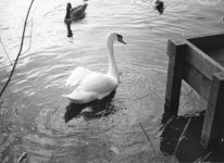 img070.jpg