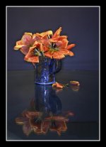 Tulips-1.jpg