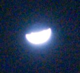 L1041635_1.jpg