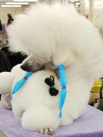 P1020562 - Version 3.jpg