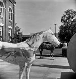 White Sea Turtle Horse Sculpture on the Square  rff.jpg