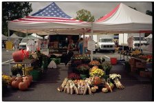 Zeiss_FarmersMarketCorn.jpg