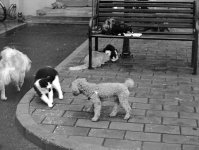 Scan-100918-0002.jpg