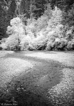 L1001482.DNG.p.jpg