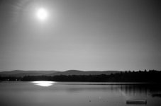 Moonlit float2.jpg