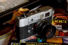 DSC_010609982-2.jpg